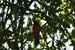 201003_Costa_Rica__34