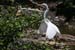 201003_Costa_Rica__37
