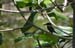 201003_Costa_Rica__38