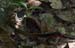 201003_Costa_Rica__43