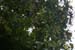 201003_Costa_Rica__45