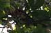201003_Costa_Rica__46