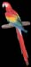 201003_Costa_Rica__47