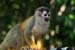 201003_Costa_Rica__52