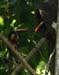 201003_Costa_Rica__56