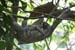 201003_Costa_Rica__57