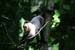 201003_Costa_Rica__58