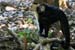 201003_Costa_Rica__59