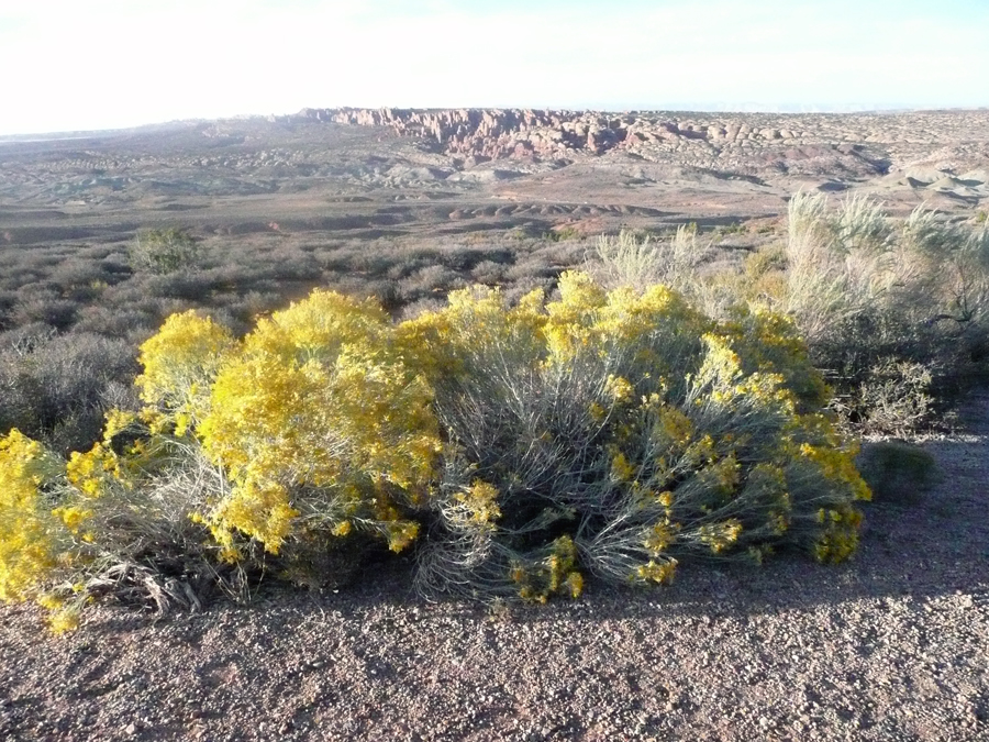 20111012_038