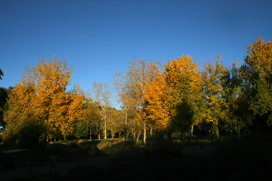 20111017_109