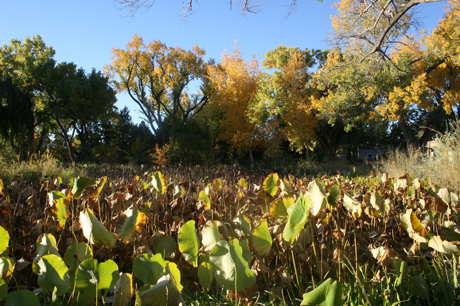 20111018_114