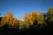 20111017_109