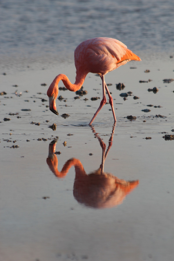 20160324_017