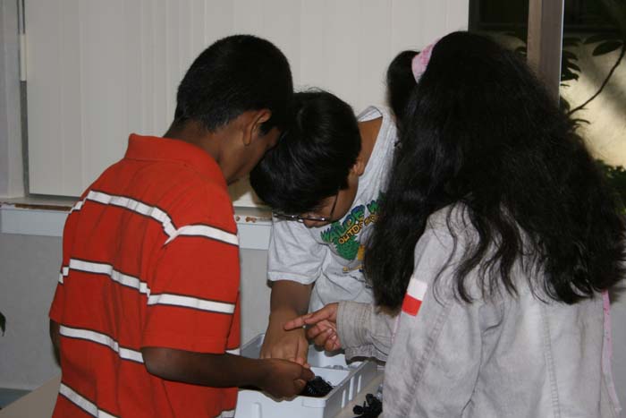 20070929_10
