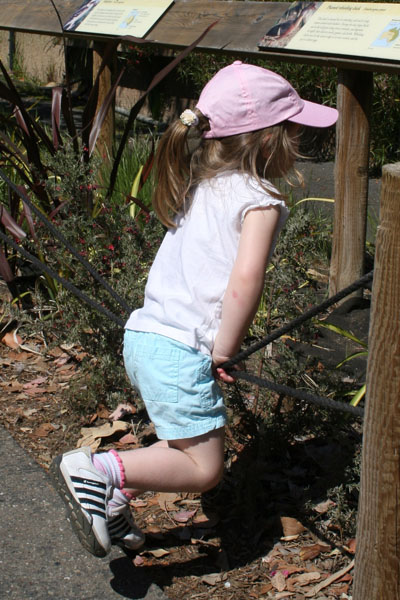 20080412_16