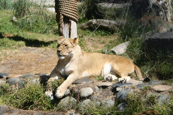 20080412_26