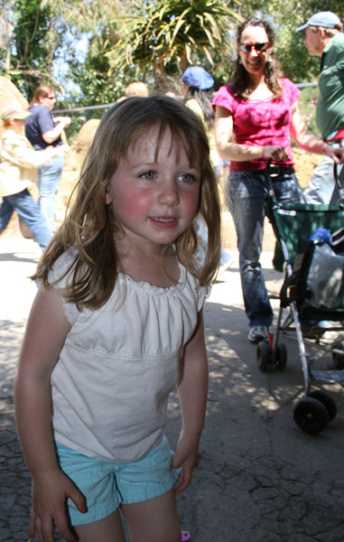 20080412_31