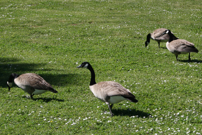 20090417_5