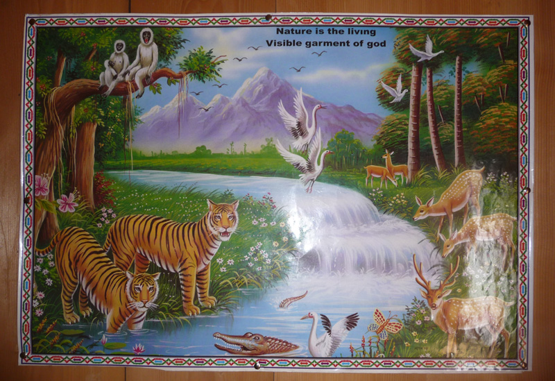 3_Nepal_36