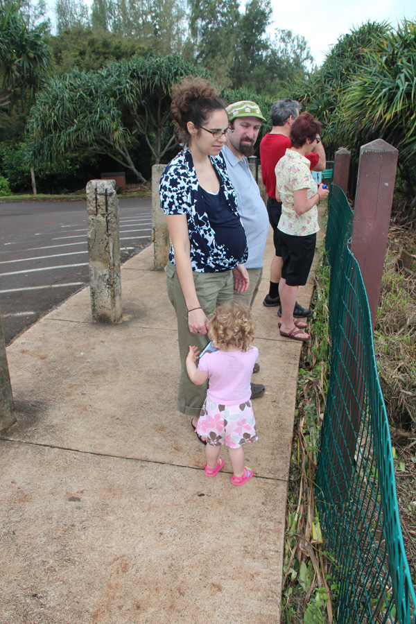 201203_Hawaii_032