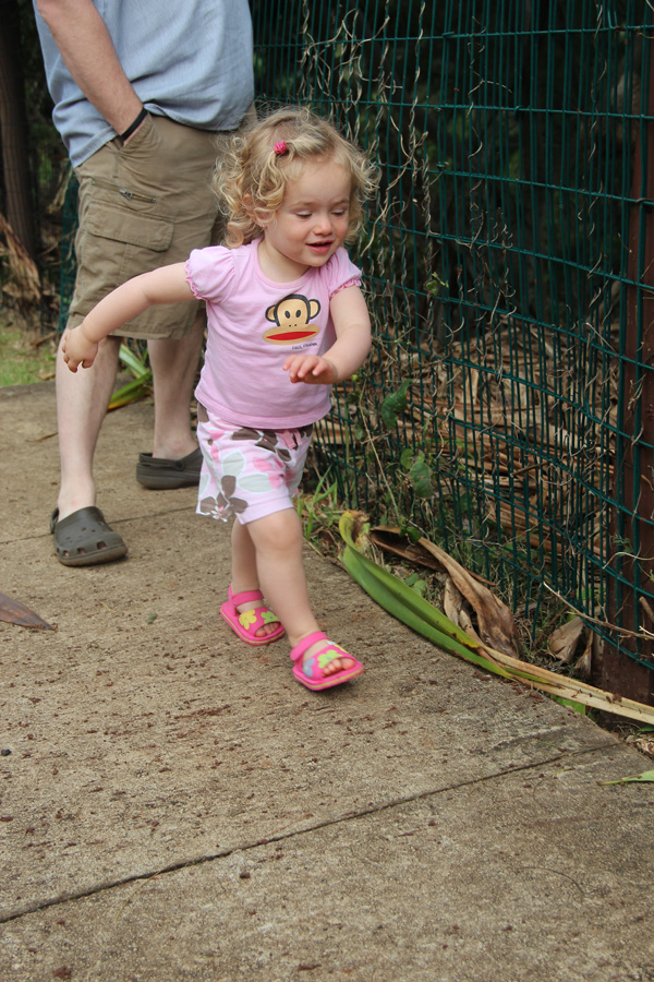 201203_Hawaii_035