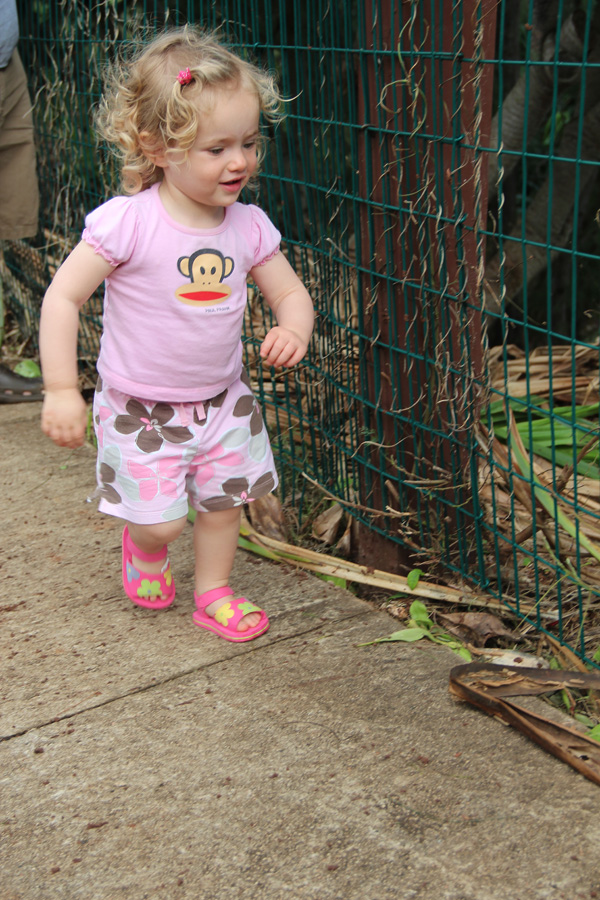 201203_Hawaii_036