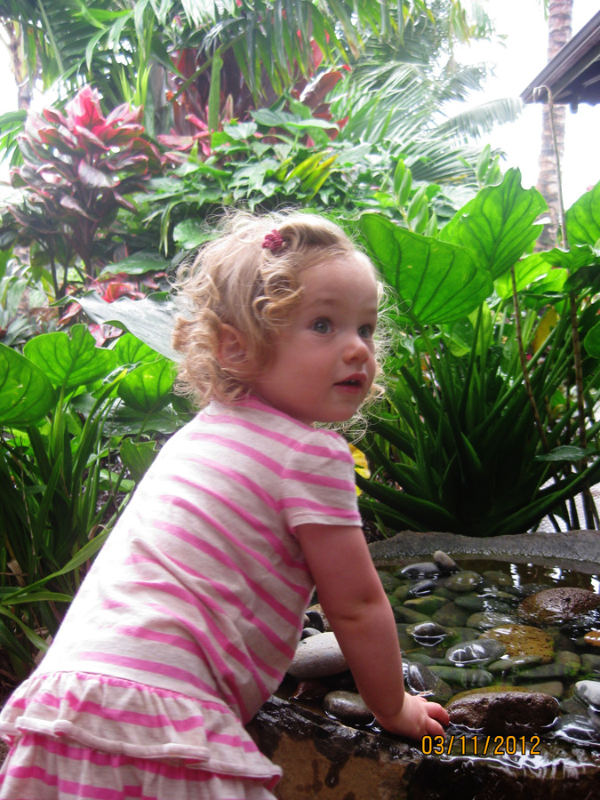 201203_Hawaii_055