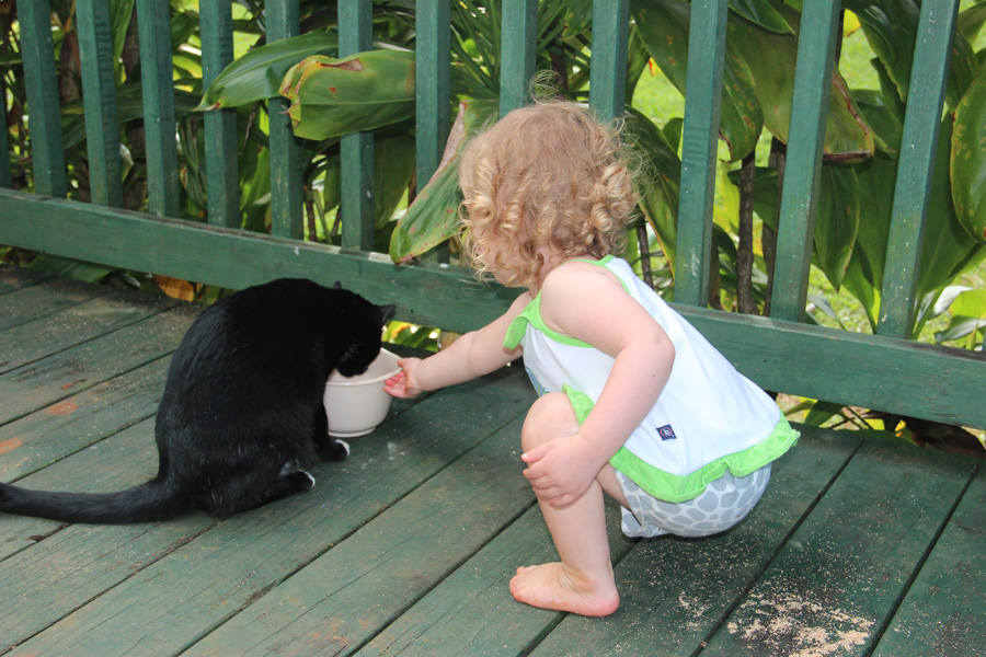 201203_Hawaii_082