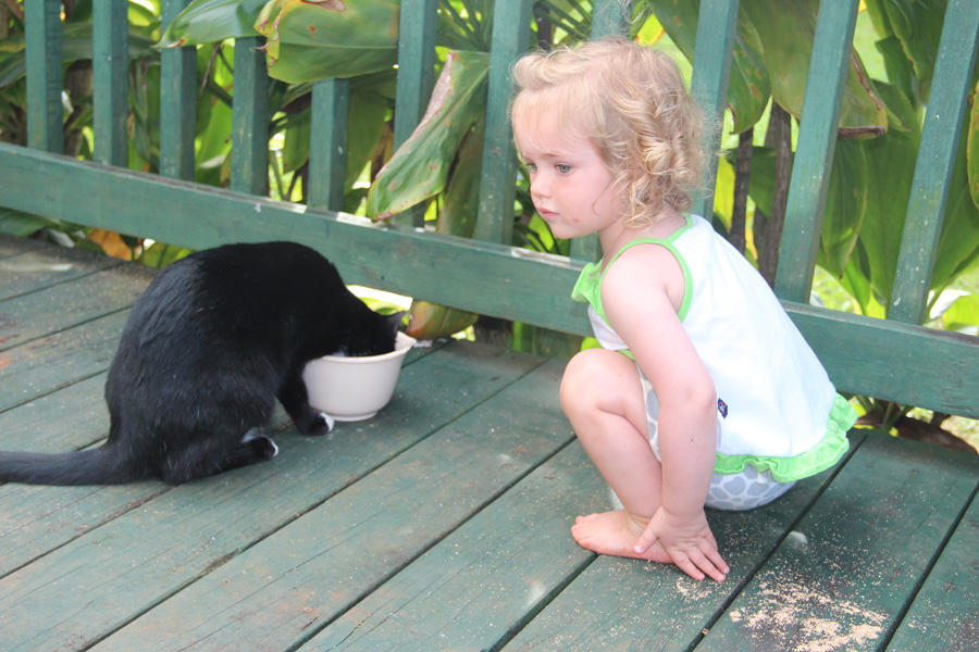 201203_Hawaii_083