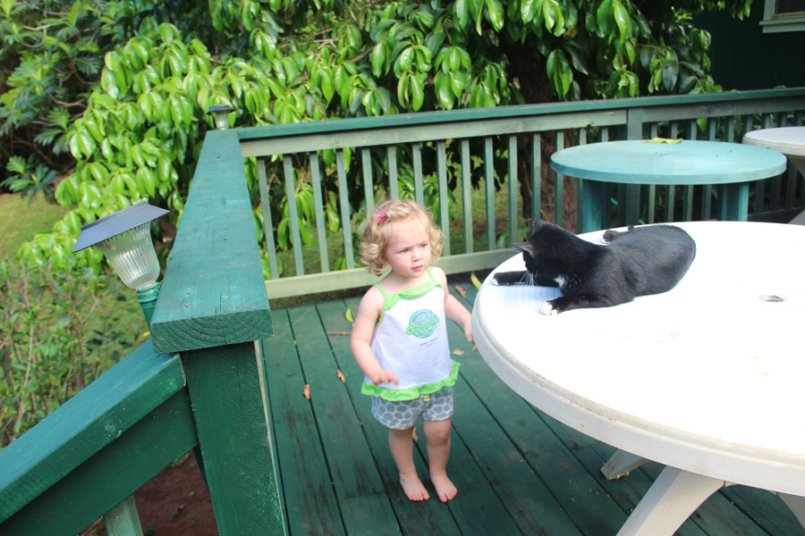 201203_Hawaii_085
