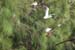201203_Hawaii_039