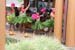 201203_Hawaii_047